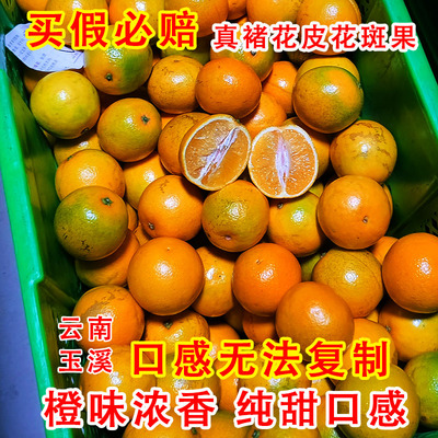 纯甜橙褚花斑果皮薄多汁