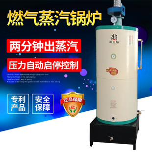 厂价直销加贝尔新宝全自动液化气蒸汽锅炉豆腐馒头酿煮酒蘑菇