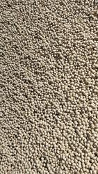 甘肃徽县老树白果银杏果500克