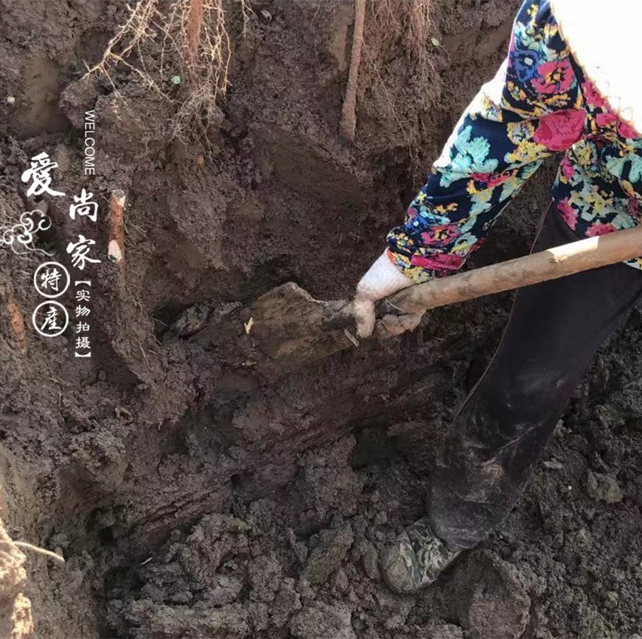 网友分享在meiguo.com的图片