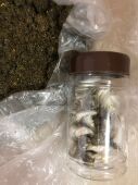一对一定制手工肚脐丸含艾绒桂圆等 适合大肚子湿水肿Pang 35粒