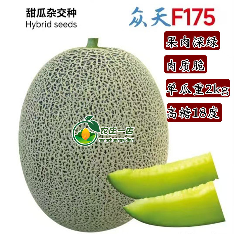 超甜哈密瓜种籽高糖18度深绿肉