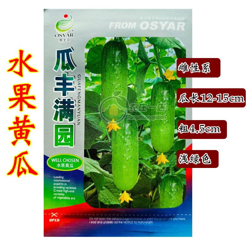 水果黄瓜种子籽节节瓜高产全雌性