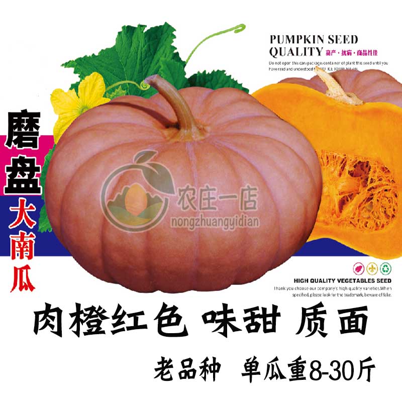 农家甜面四季蔬菜苗春秋南瓜种子