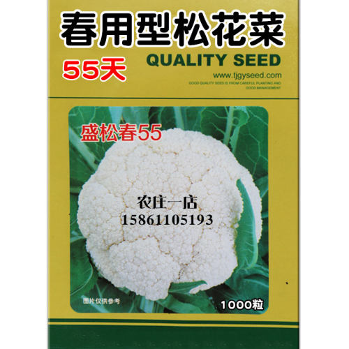 松花菜种子质量怎么样 松花菜种子口碑怎么样 小麦优选 松花菜种子质量怎么样 松花菜种子口碑怎么样 小麦优选