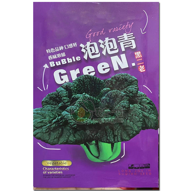 泡泡青种籽春不老高价菜种子皱叶黑油白菜小青菜耐寒秋冬季蔬菜孑