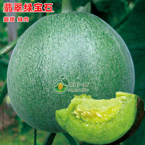 绿宝石薄皮正品四季盆栽甜瓜种子