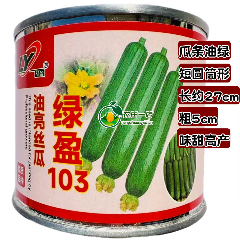 短棒油亮丝瓜种籽早熟油皮肉丝瓜