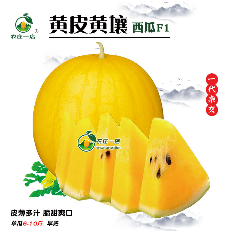 黄皮黄瓤礼品西瓜种籽子特大巨型