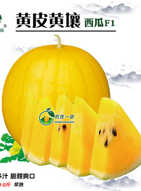 黄皮黄瓤心肉礼品西瓜种子种籽甜王麒麟8424高产四季特大巨型懒汉