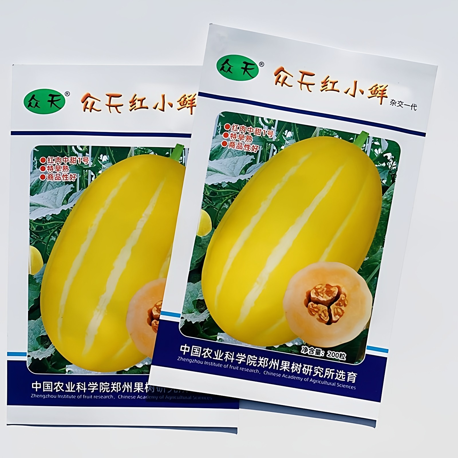 红肉中甜1号黄金道黄皮香瓜种籽黄金蜜甜瓜种子超甜脆高产耐低温