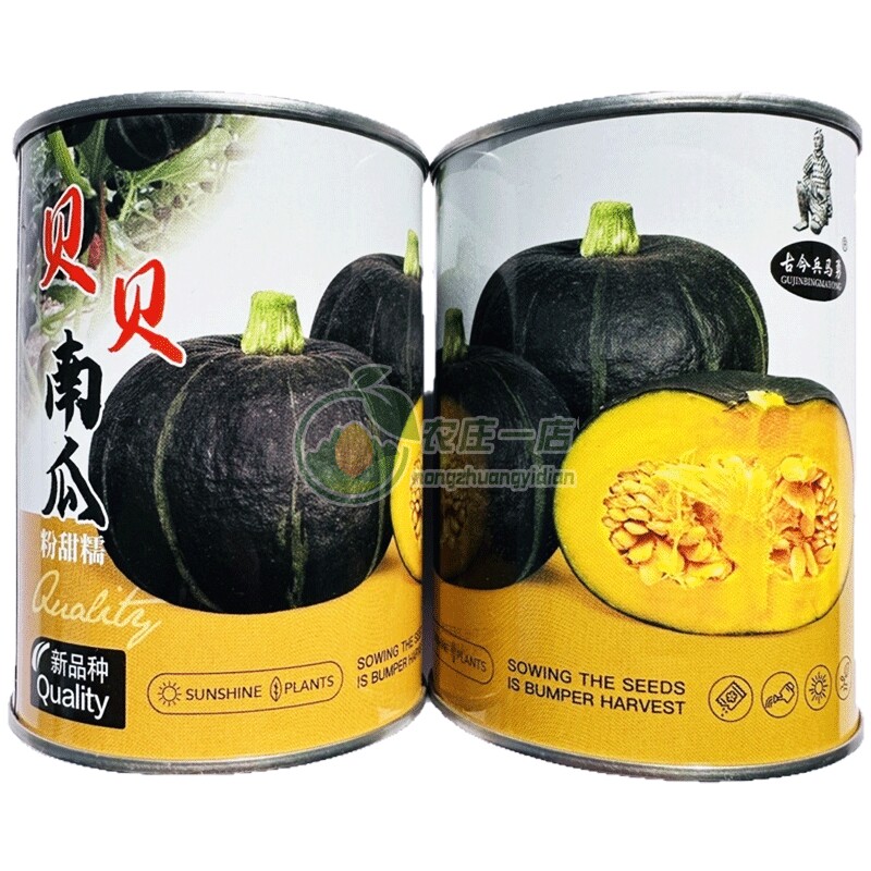 贝贝南瓜种子籽黑亮肉厚粉糯香甜