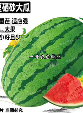 特大巨型超甜懒汉西瓜种子抗重茬8424正宗宁夏中卫硒砂石头瓜种籽