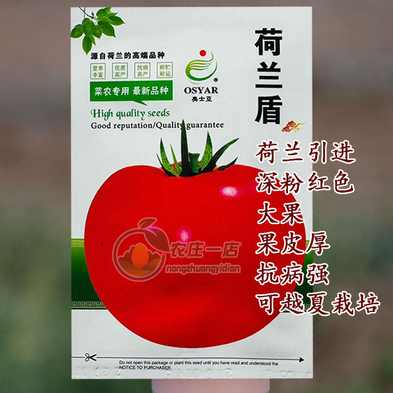 荷兰盾高端番茄种子荷兰引进无限生长高圆型深粉红西红柿蔬菜种籽