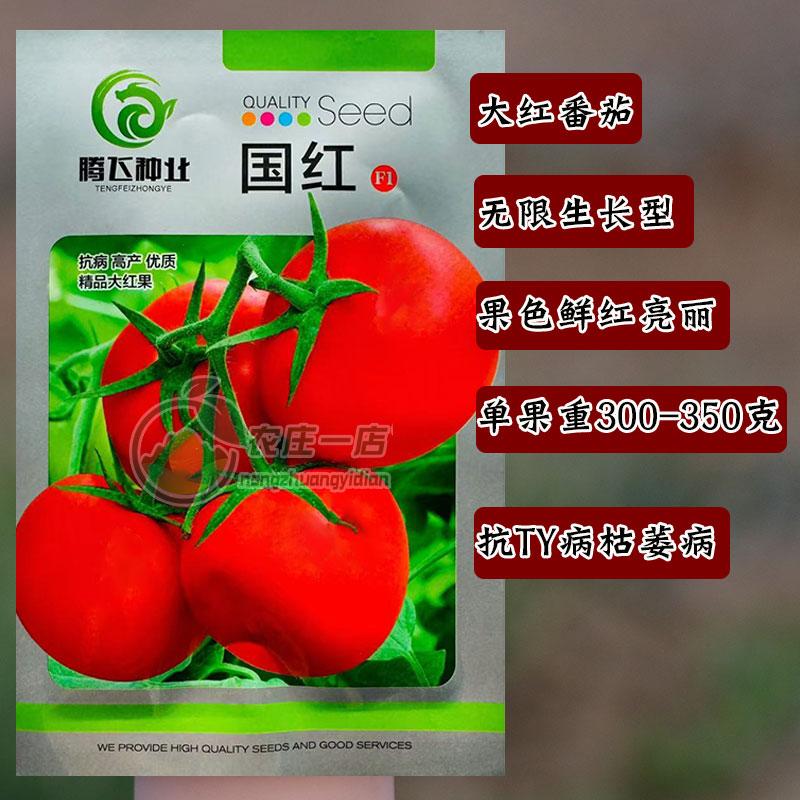 大红果番茄种子早熟冬春茬秋延及露地西红柿种籽高产抗病强大果型