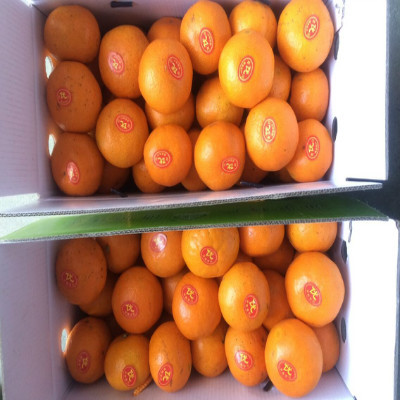 无核无渣汁水足皮薄香甜可口