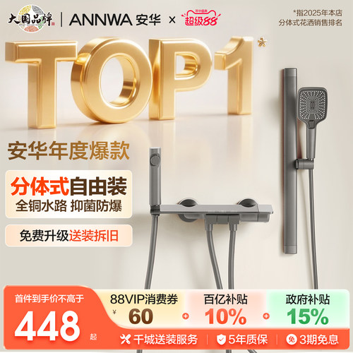 全铜分体式小户型简易花洒组合
