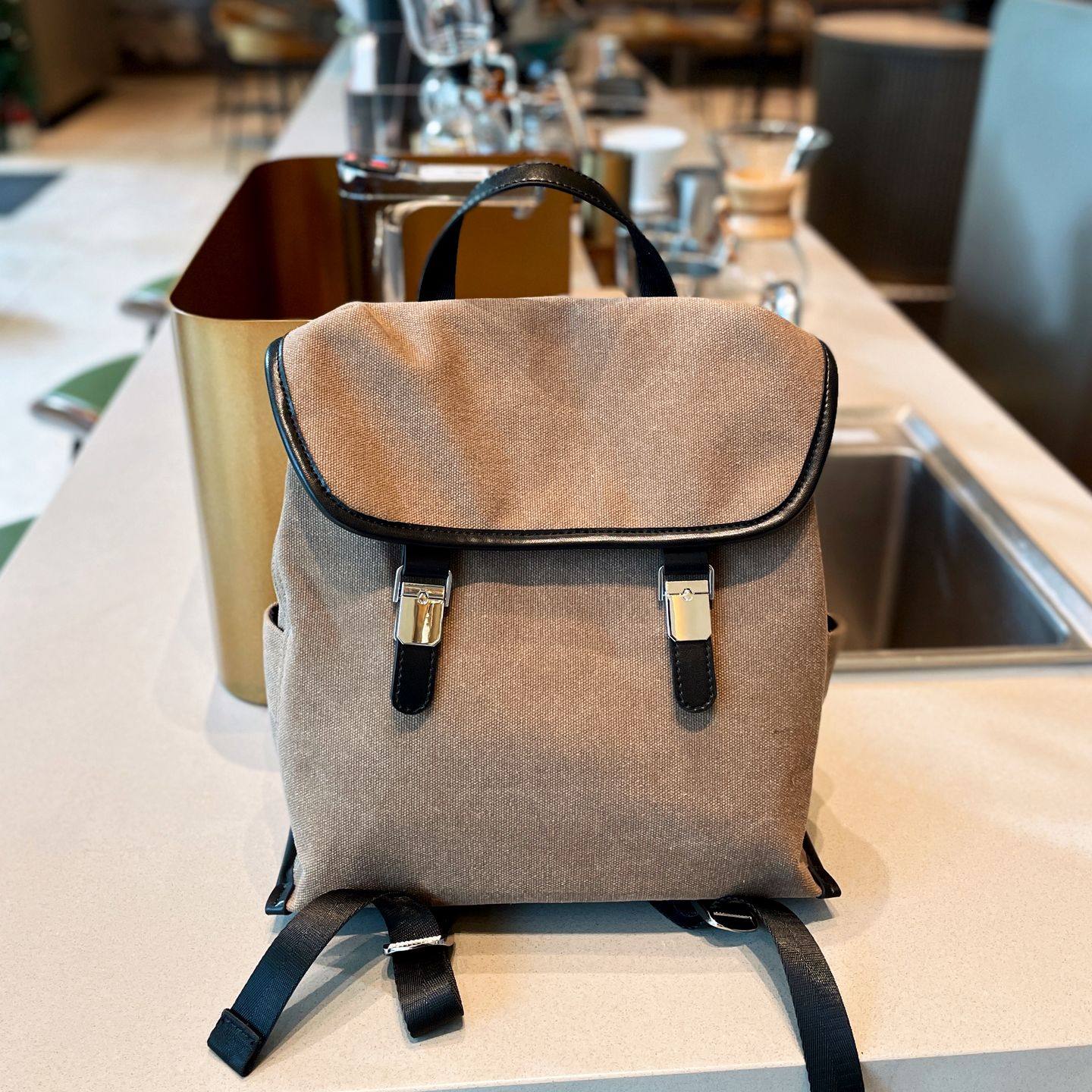 高级小众通勤双肩包女2025新款时尚轻便旅游女士背包高颜值帆布大