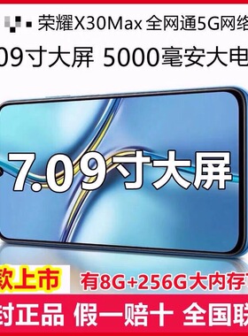 honor/荣耀 X30 Max 7.09英寸护眼大屏大电池大音量智能5G手机