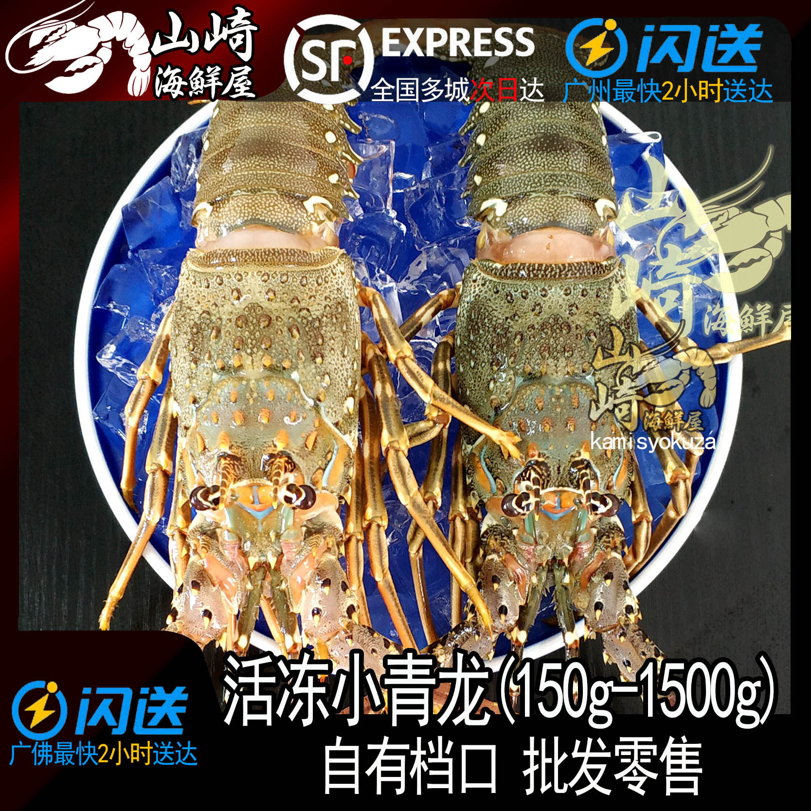 小青龙虾鲜活冷冻特大龙虾澳龙鲜活大龙虾速冻花龙虾3只广东包邮