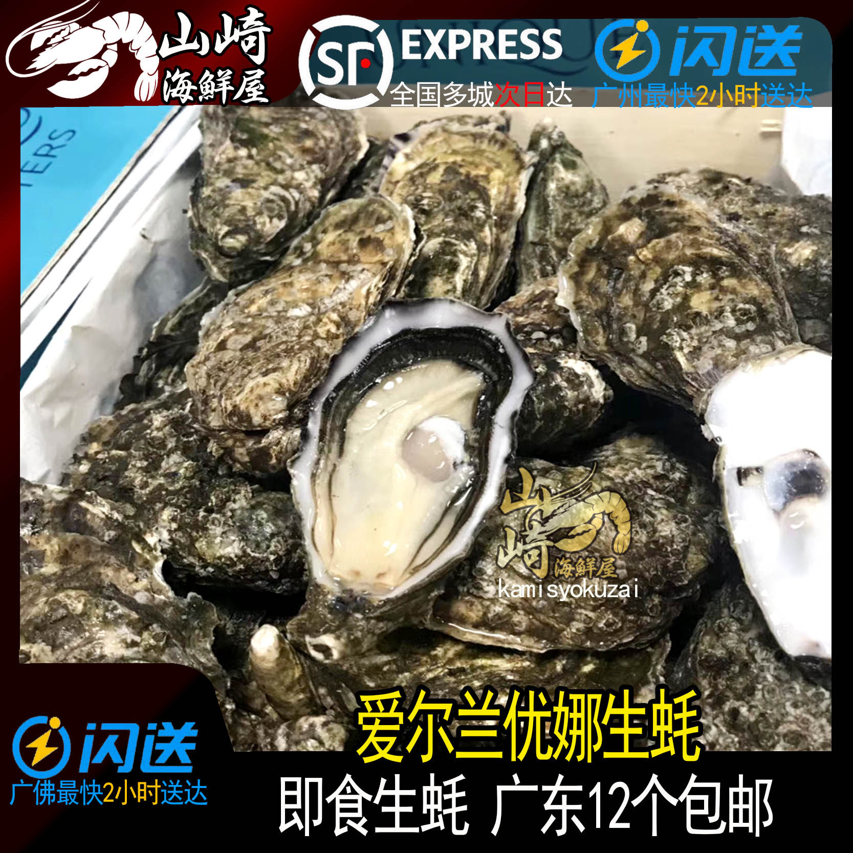 爱尔兰生蚝6只起售进口即食刺身