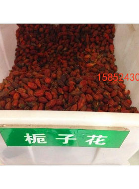 栀子花种子 黄栀子种子 小叶栀子花 山栀花  易种植大叶栀子包邮