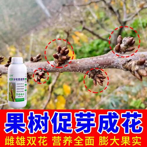 德默尔花芽分化催花促果