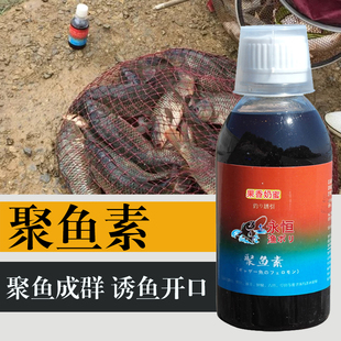 永恒渔聚聚鱼素钓鱼小药黑坑鲤鱼小药野钓鲫鱼饵料诱鱼剂青鱼小箹
