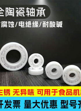 氧化锆全陶瓷轴承6007 6008 6009 6010 6011 6012 6013 6014CE