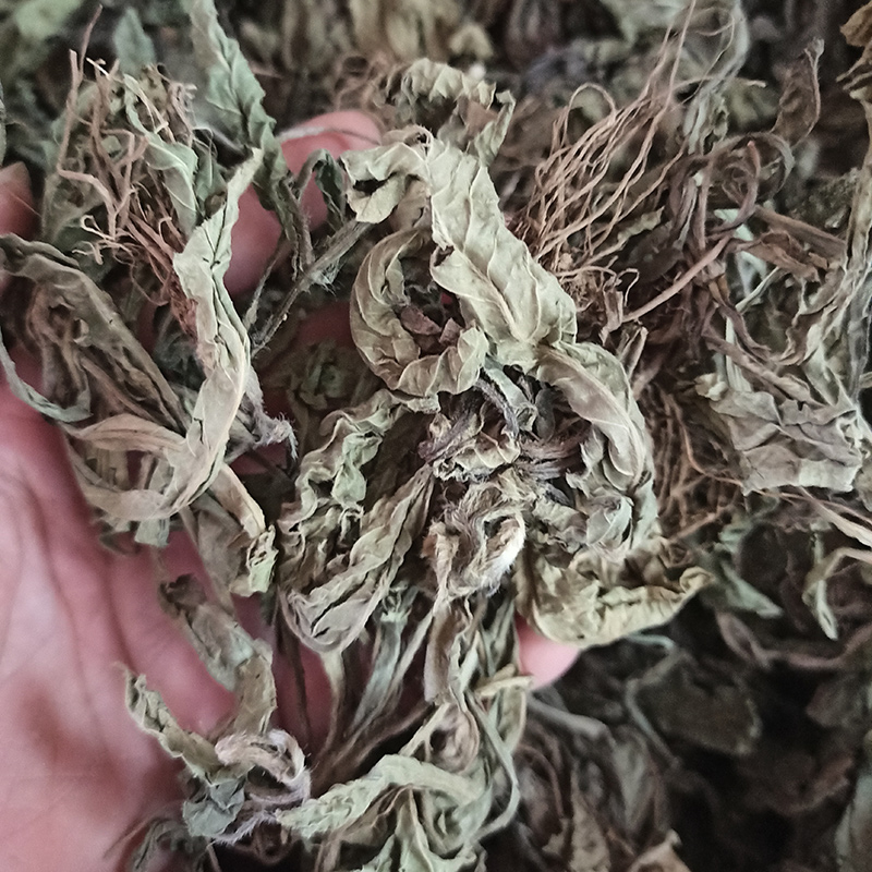 晒干地胆草红花牛契埔天然草鞋根正宗地胆头磨地胆苦地胆草中草药