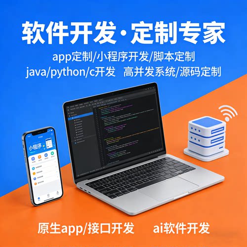 软件开发定制APP小程序网站开发