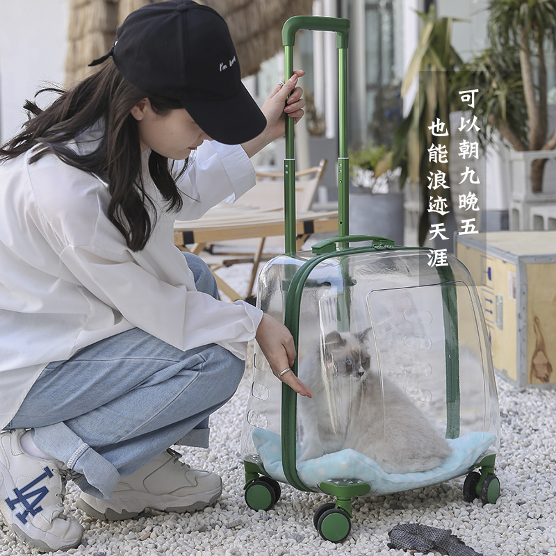 宠物太空舱透明拉杆箱推车行李箱