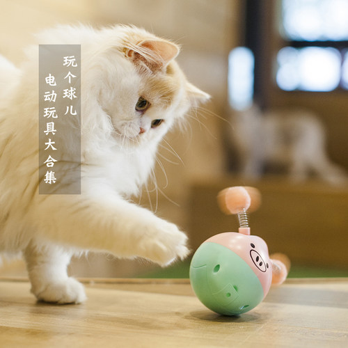 两只福狸自嗨解闷电动逗猫不倒翁