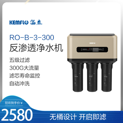 RO-B-3-300大流量净水器