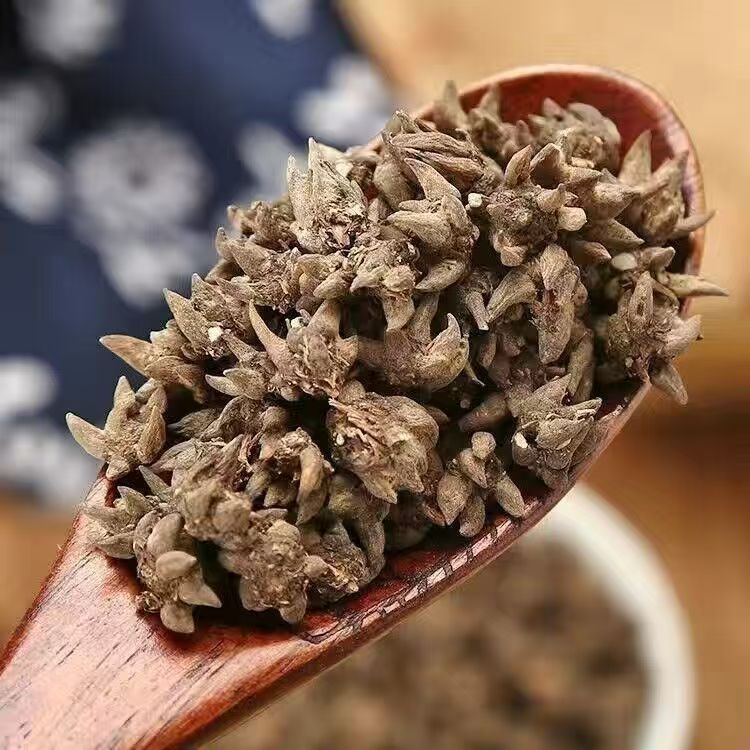 大别山纯野生精品猫爪草小爪2025新鲜干货水洗正品猫爪草500克