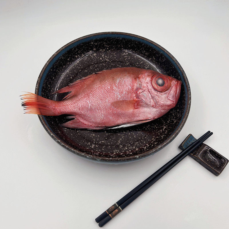 顺丰包邮东海大眼鸡鱼冷冻红眼睛鱼新鲜大目鲷鱼海鲜水产品2条装
