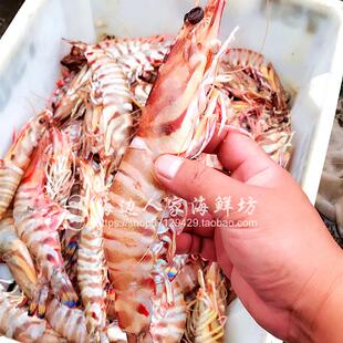3斤装包邮东海野生大九节虾新鲜竹节虾冷冻斑节虾深海虾海鲜水产