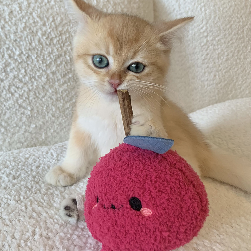 萌趣猫咪啃咬磨牙棒猫玩具