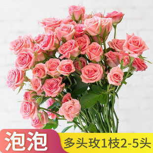 多头玫瑰泡泡鲜花云南基地直发鲜切花材家用室内水养真花花束搭配