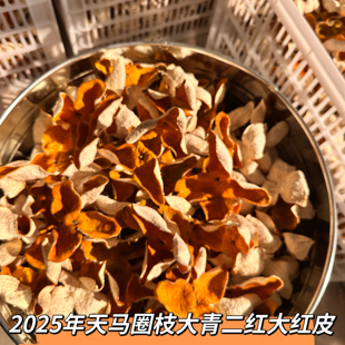 【天马】新会陈皮2024年天马冬后大红皮圈枝纯干仓生晒