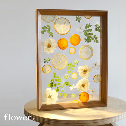 [水果派]植物图书馆全国速递干花压花相框创意摆件生日手工礼物