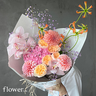 植物图书馆杭州同城粉色蕙兰朱丽叶玫瑰送女友周年生日礼物 黎明