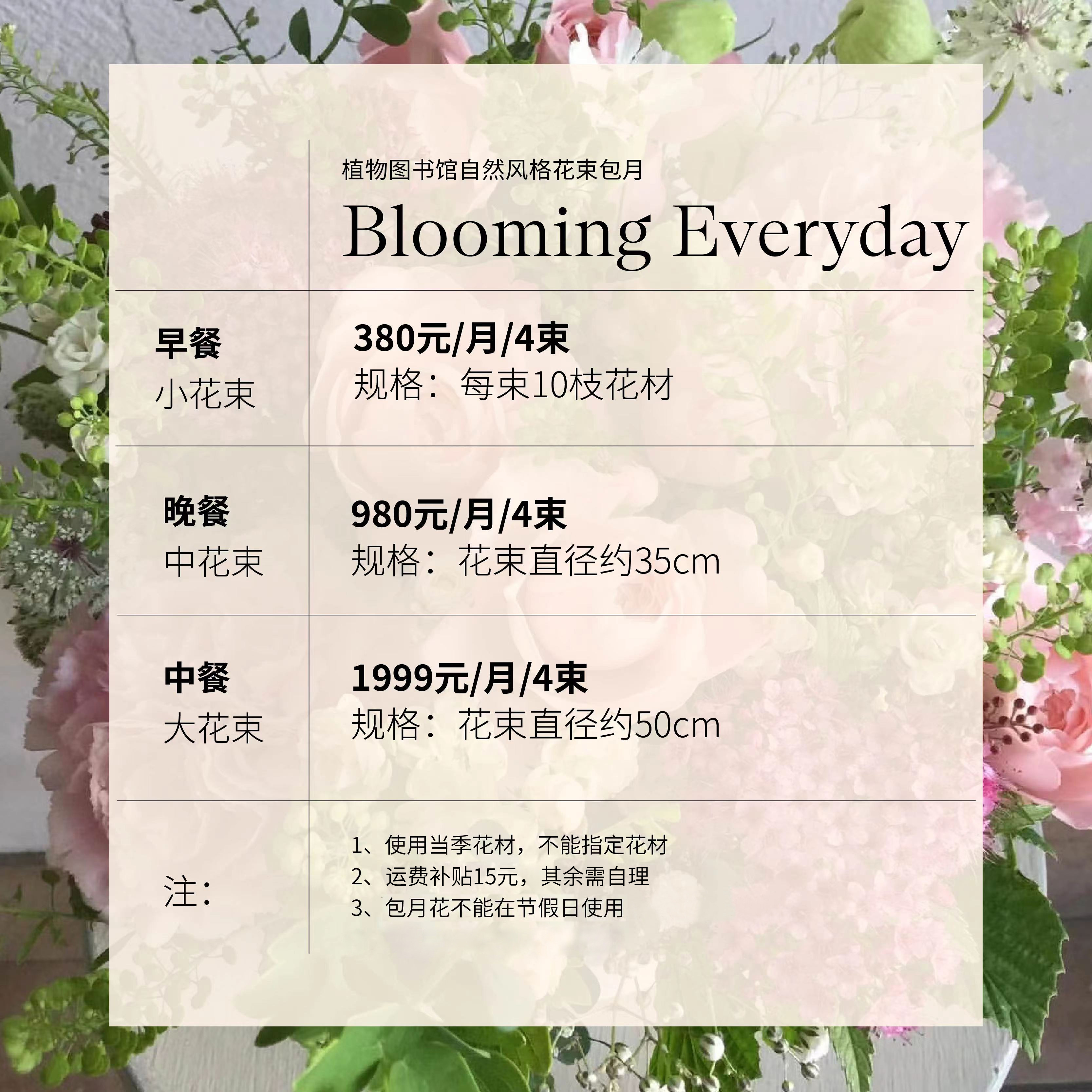 植物图书馆约会包月鲜花