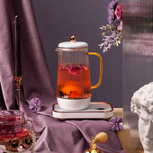 生活元 素养生壶D66家用多功能办公室小型一人用花茶壶电热烧水壶