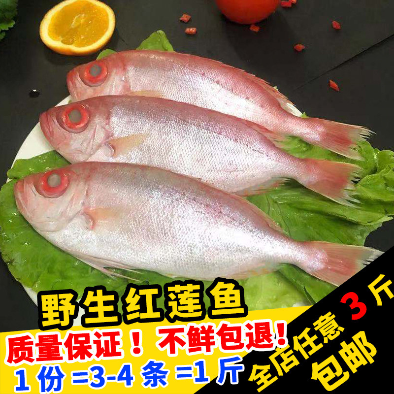 闽丰渔鲜活冷冻野生赤鯥鱼500g福建新鲜红果鲤深海红莲鱼剥皮鱼