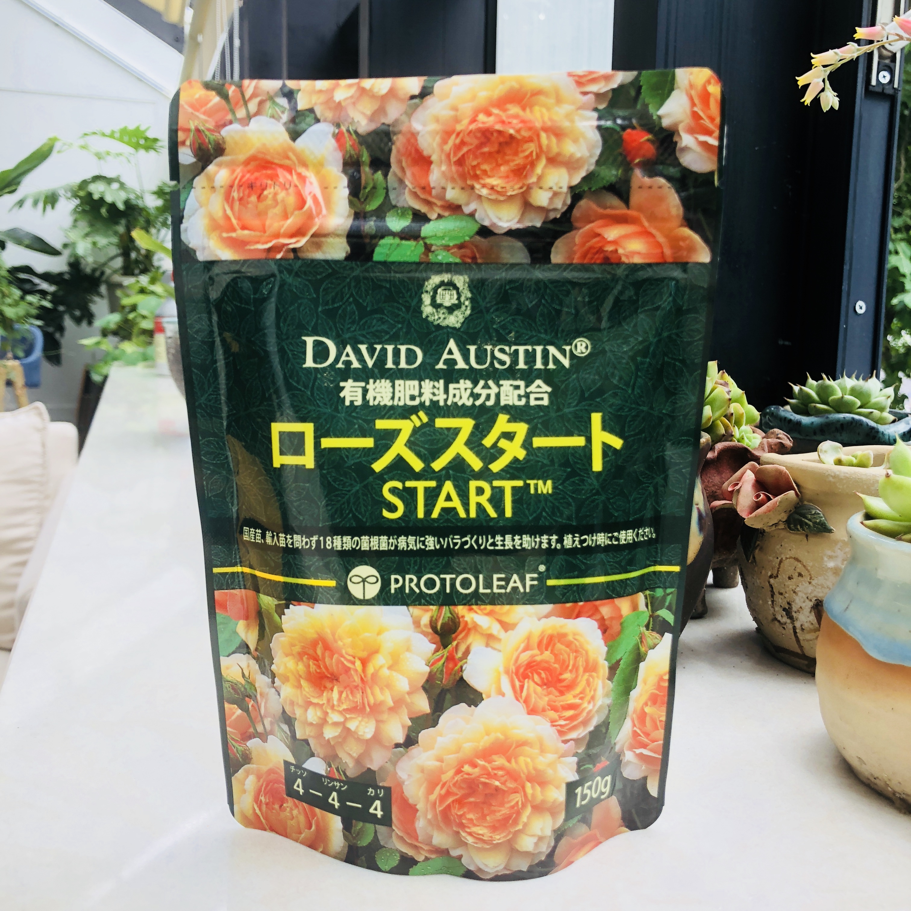 月季有机底肥促生长增强搞病能力