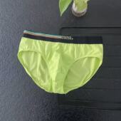 精梳棉93%棉质金来卡男士 男内裤 三角裤 透气舒适好弹力又够结实