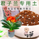 新品 君子兰控根土营养土通用型花卉植料不积水基地特配透气专用土