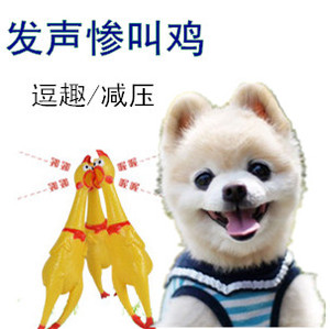 惨叫鸡尖叫鸡大号玩具鸡发声怪叫鸡绝望的战斗鸡狗狗玩具耐咬幼犬