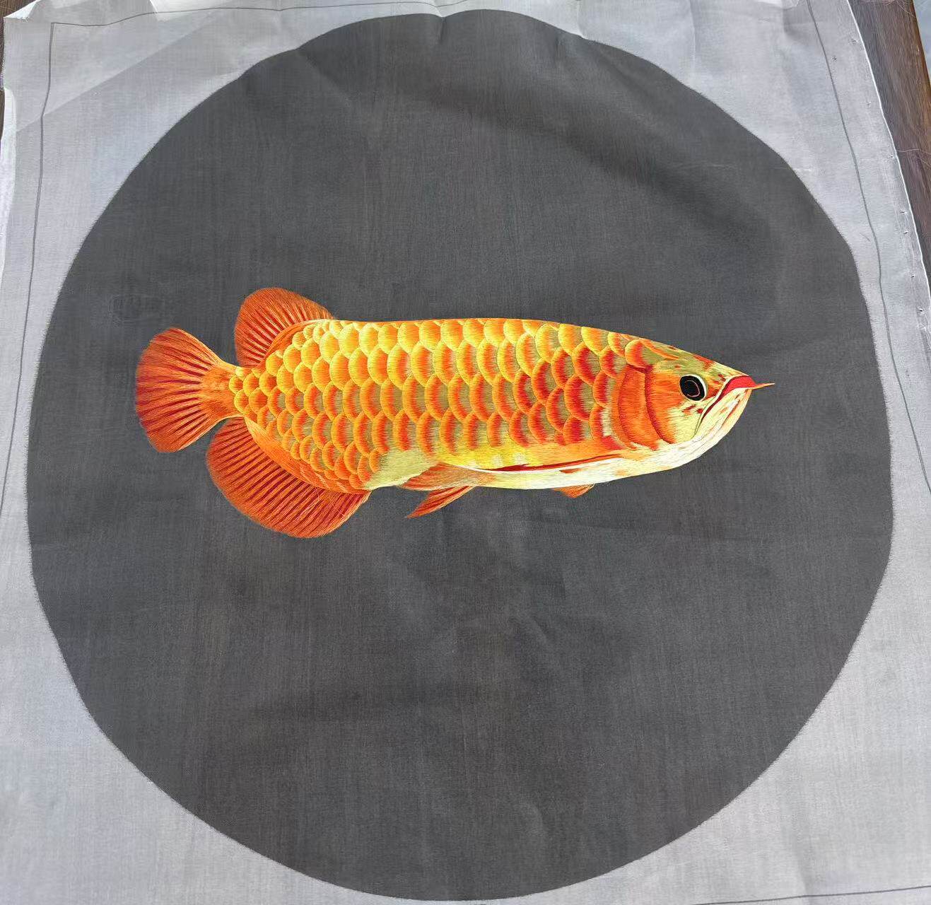 大美苏绣纯手工刺绣金龙鱼客厅办公室装饰画中式玄关画发财鱼绣片